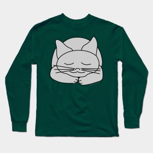 Sleeping Gray Cat Long Sleeve T-Shirt